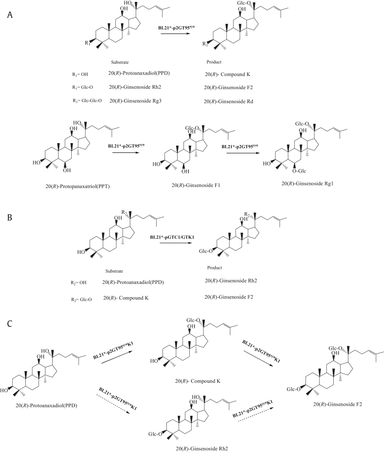 Fig. 4