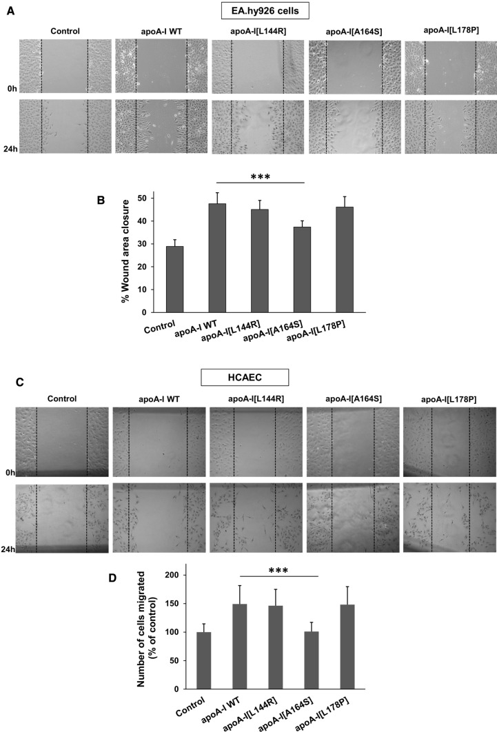 Fig. 8