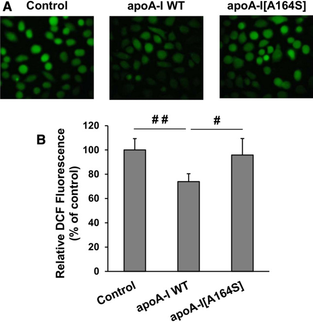 Fig. 12