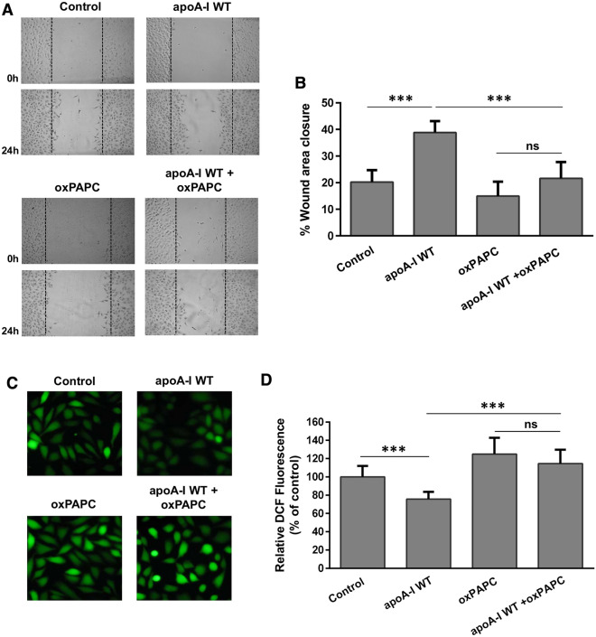 Fig. 13