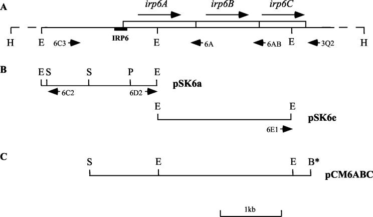 FIG. 4.