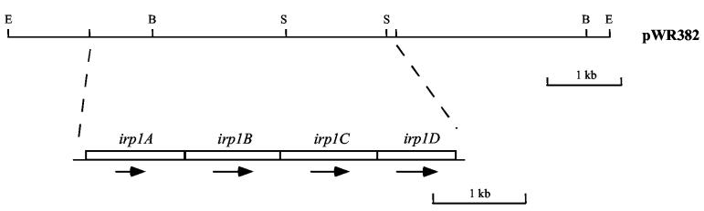 FIG. 6.