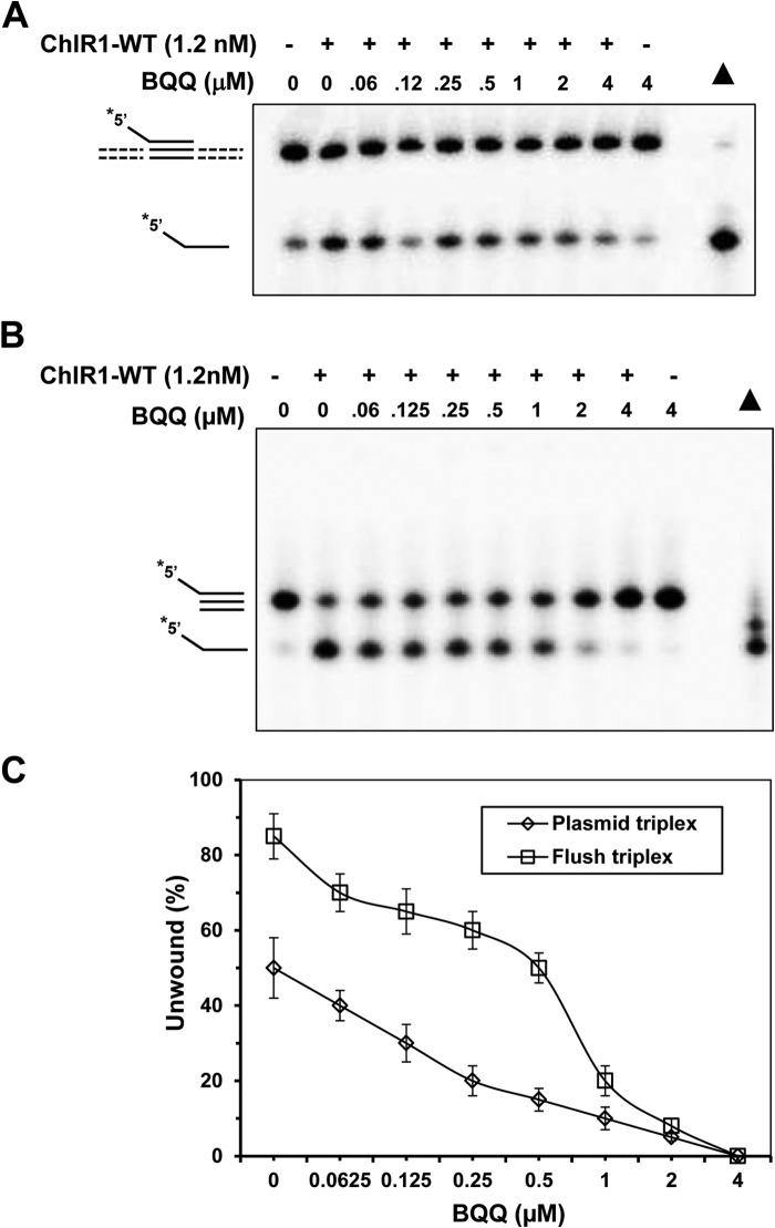 FIGURE 9.