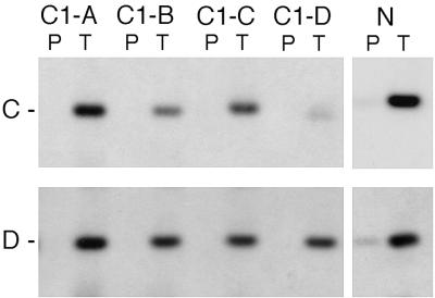 FIG. 7