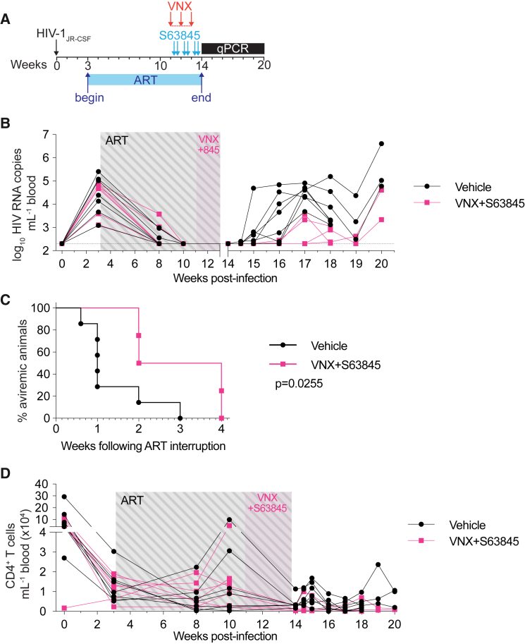 Figure 3