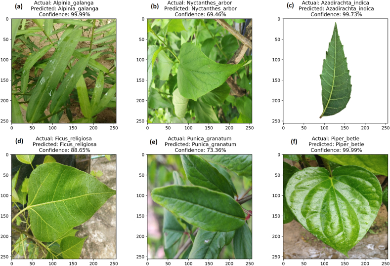 Fig. 8