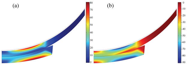 Fig. 10