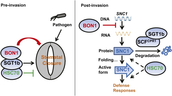 Figure 10.