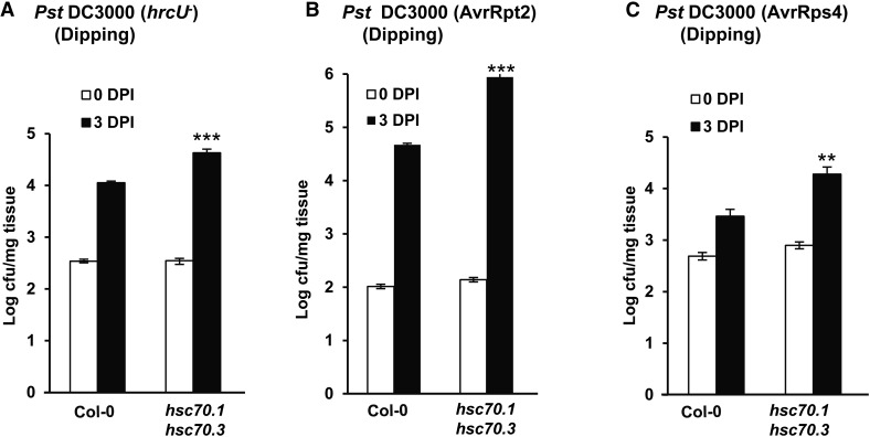 Figure 5.