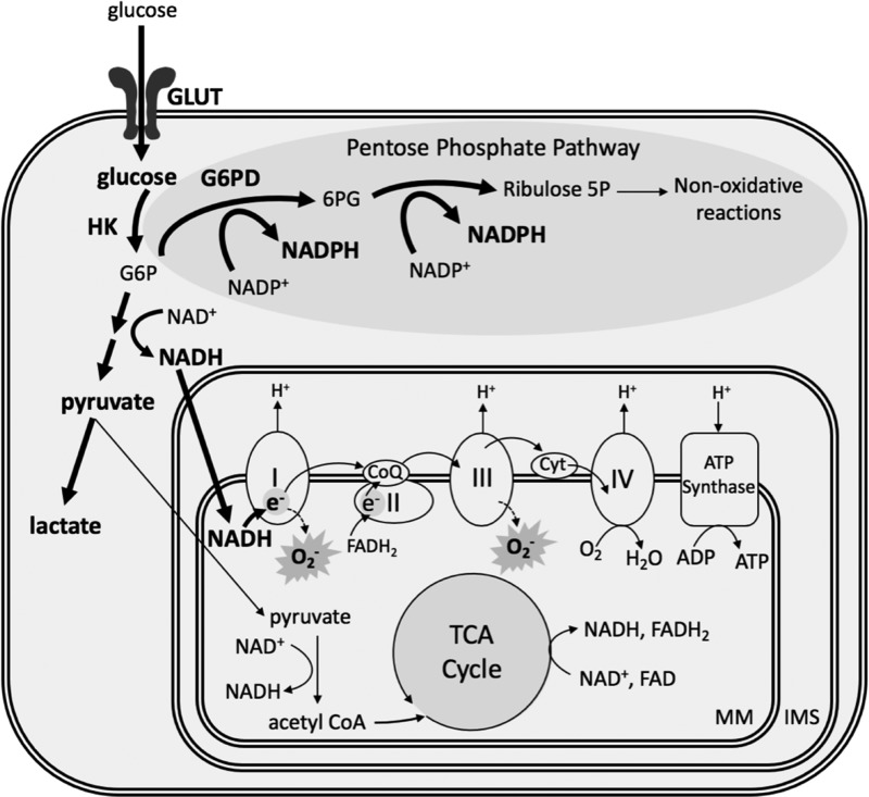 FIG. 3.