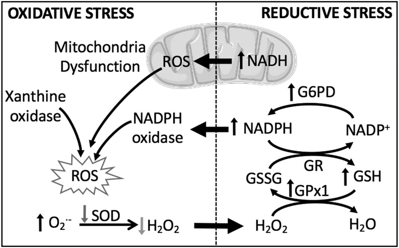 FIG. 2.