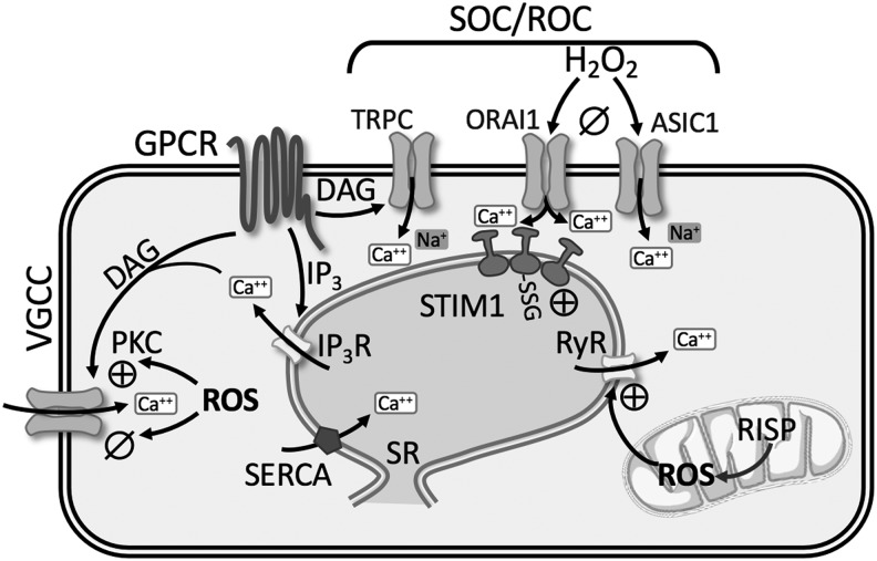 FIG. 6.