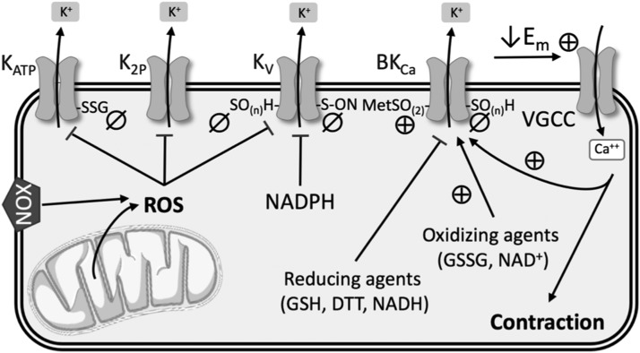 FIG. 5.