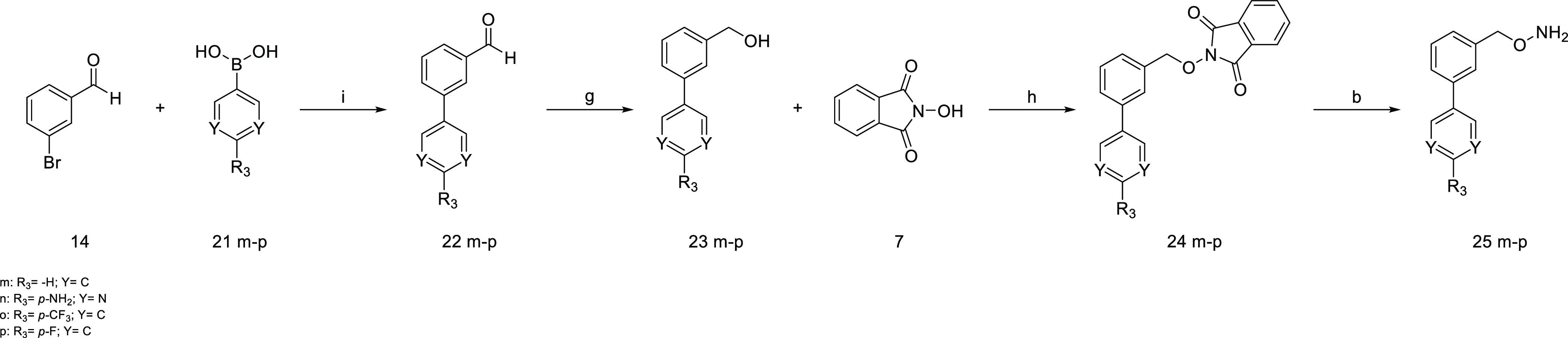 Scheme 4