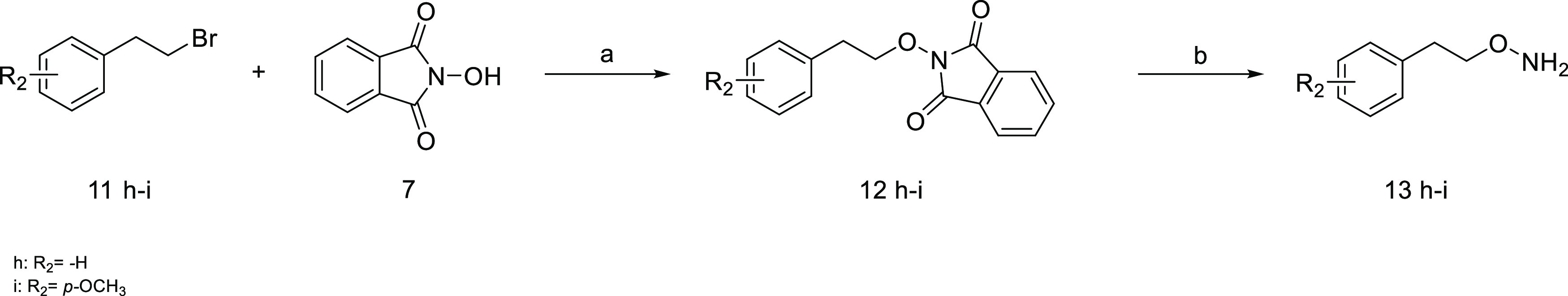 Scheme 2