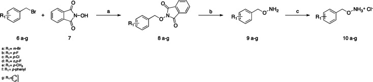 Scheme 1