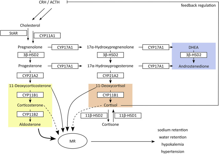 FIGURE 2