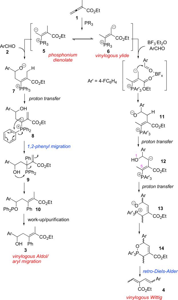 Scheme 4