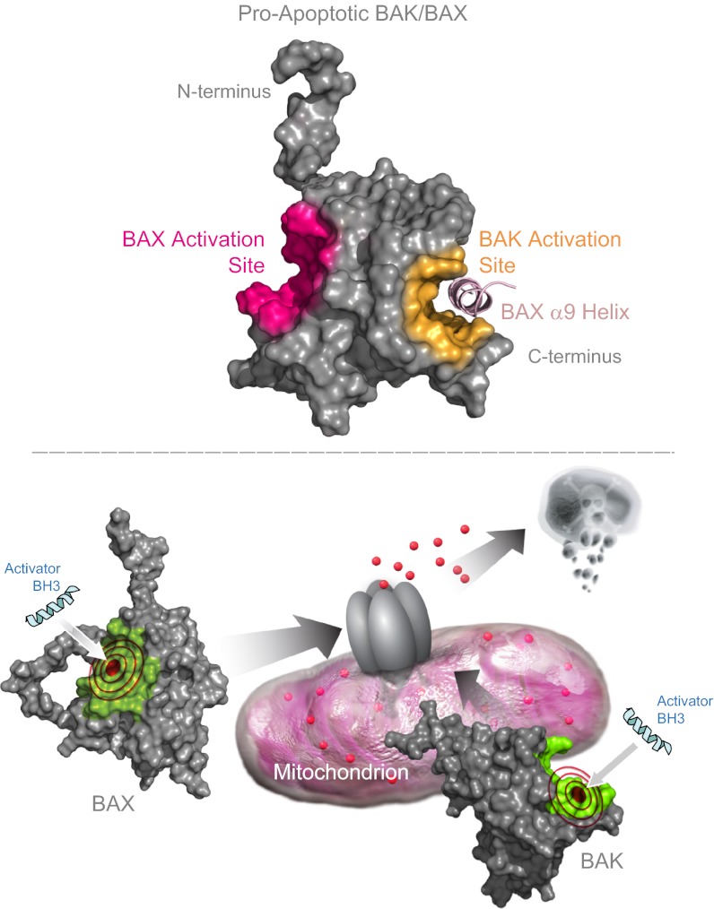 Fig. P1.