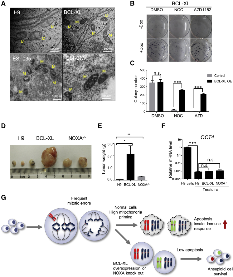 Figure 6