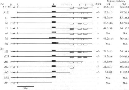 graphic file with name pnas01037-0264-a.jpg