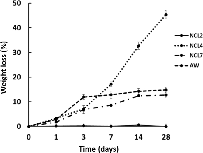 Fig. 6