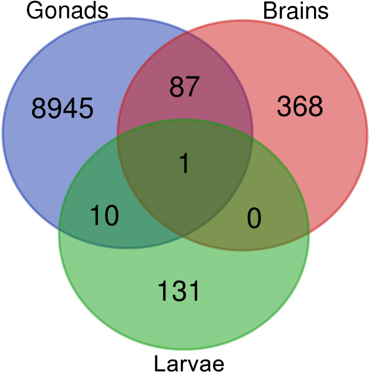 FIGURE 3