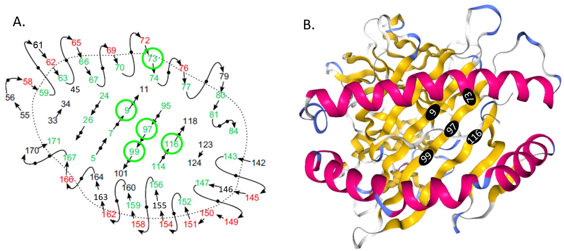 Fig 2.