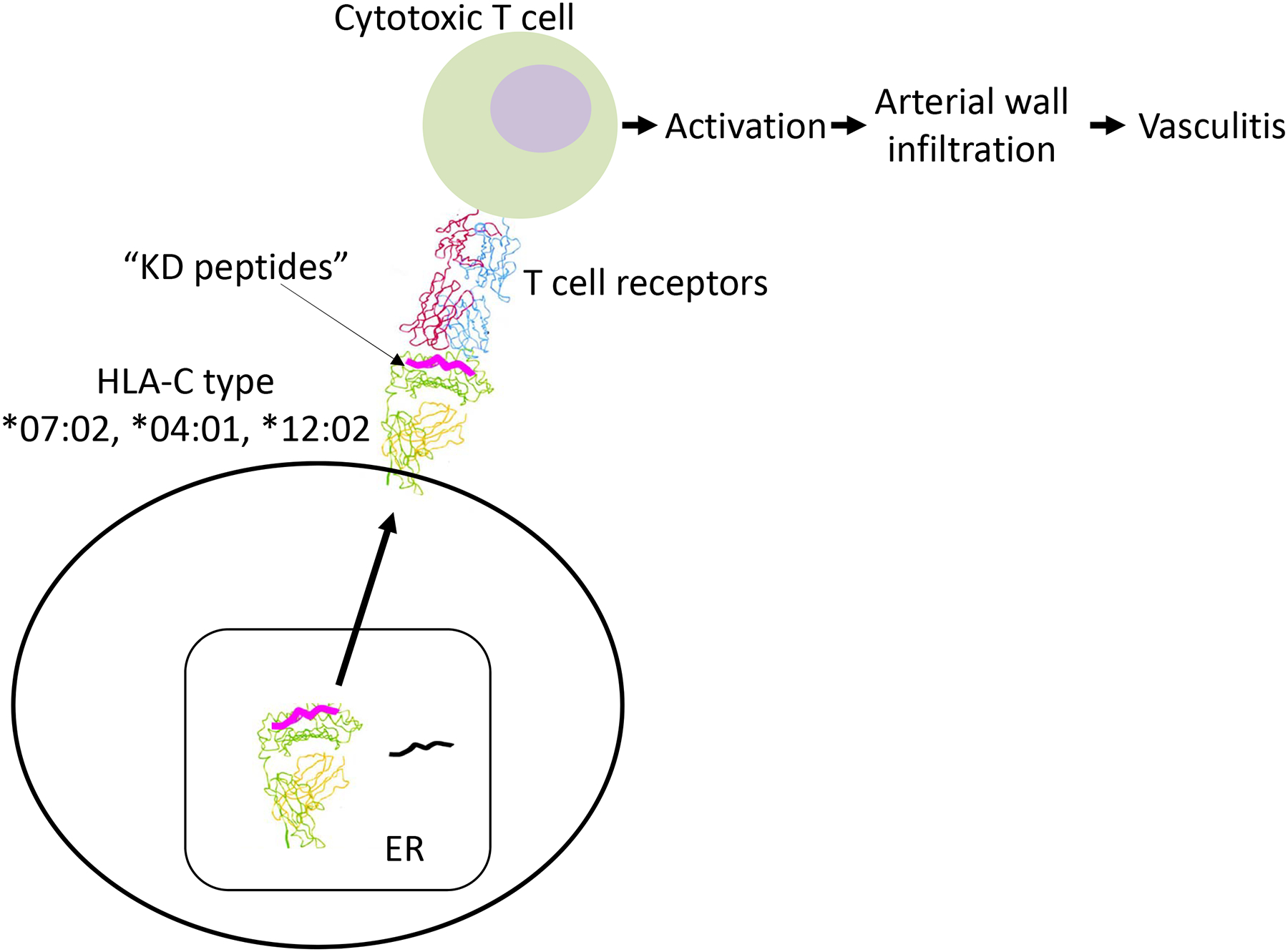 Fig 3.