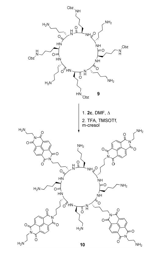 Scheme 2