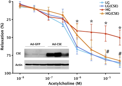 Fig. 5.