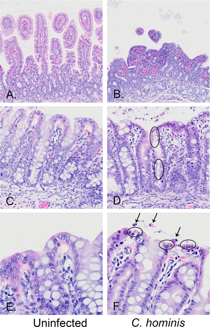 FIG 4