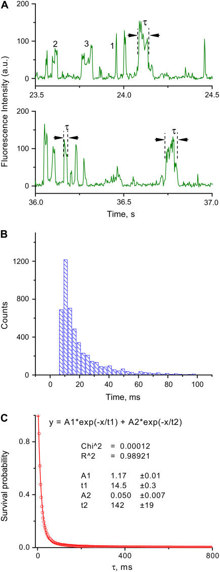 FIGURE 3