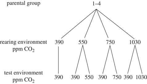 Figure 2.