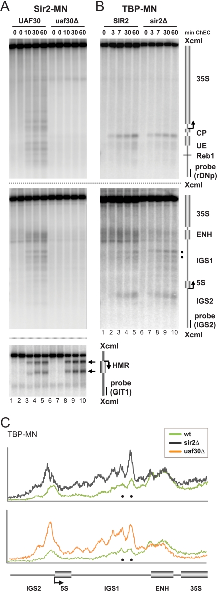 FIG. 7.