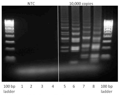 Figure 10