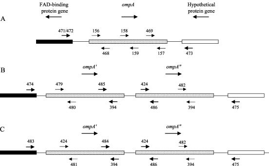 FIG. 1.