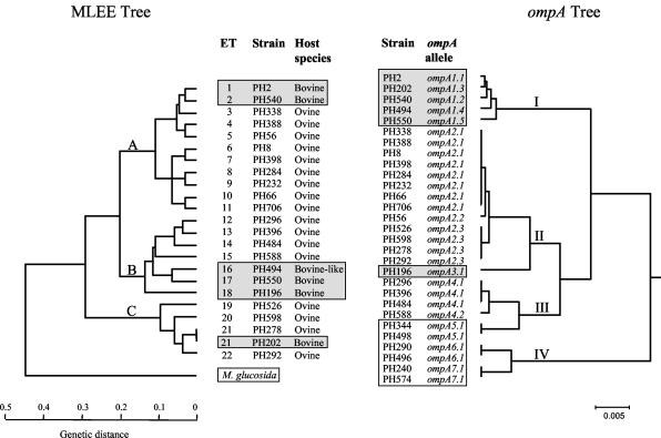 FIG. 6.