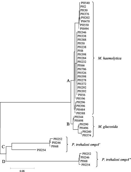 FIG. 2.