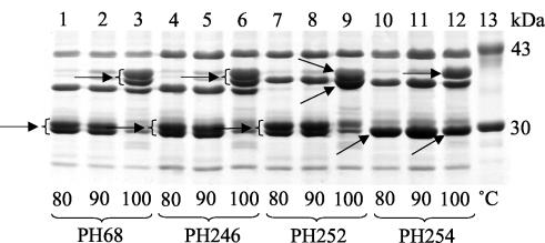 FIG. 7.