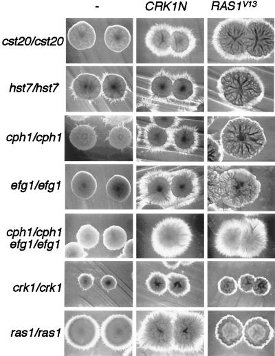 FIG. 9