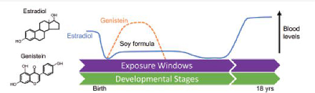 graphic file with name nihms-1757950-f0005.jpg