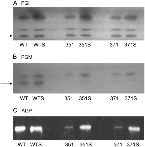 Figure 7.