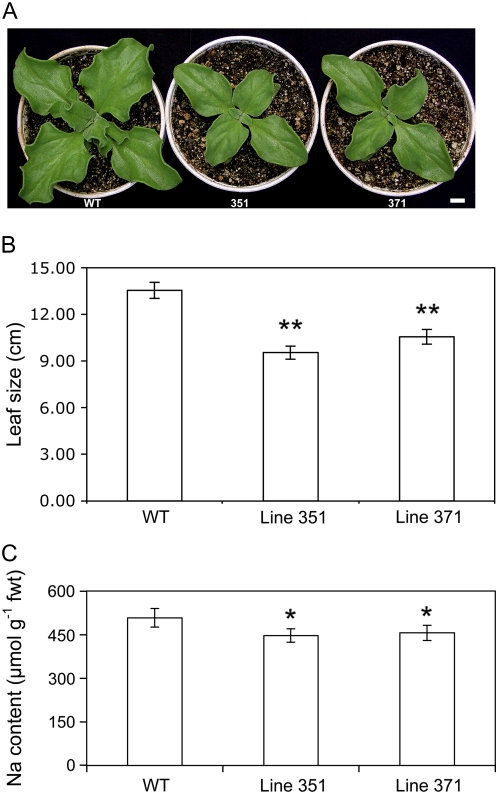 Figure 3.