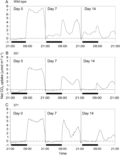 Figure 2.