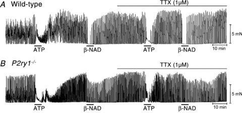 Figure 9