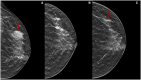 Figure 10.