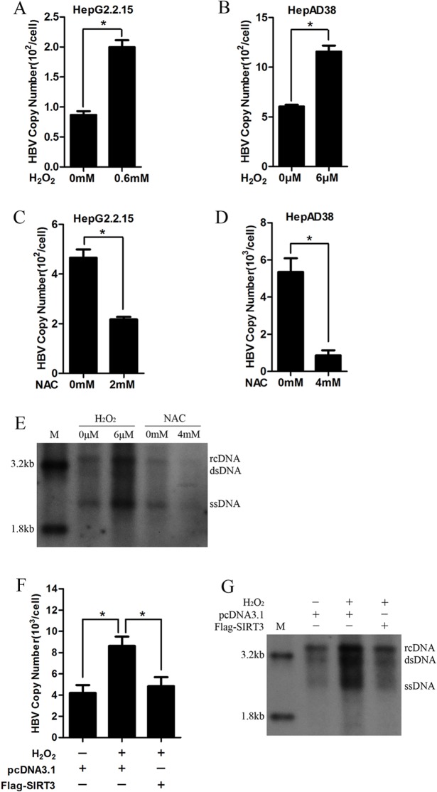 Fig 5