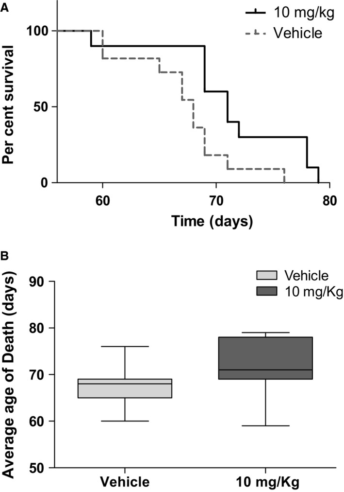 Figure 10