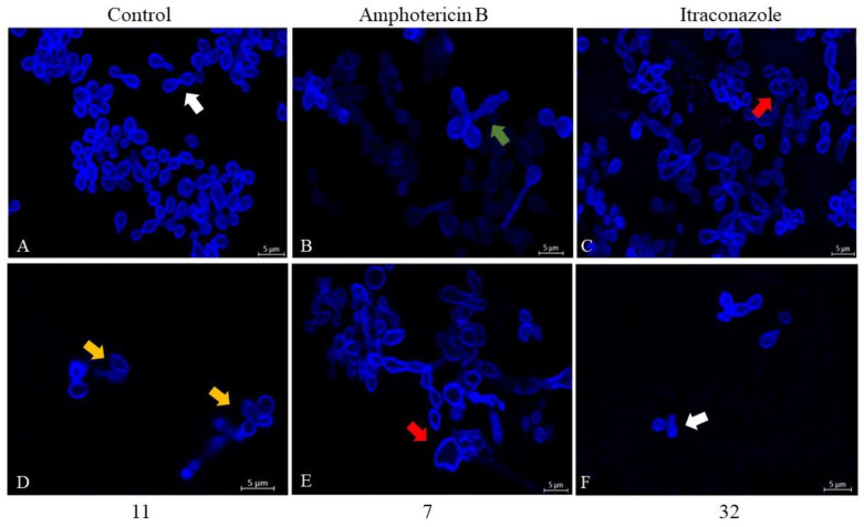 Figure 10